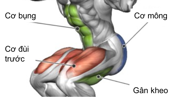 Tập squat đúng cách để mông nở đùi vẫn thon