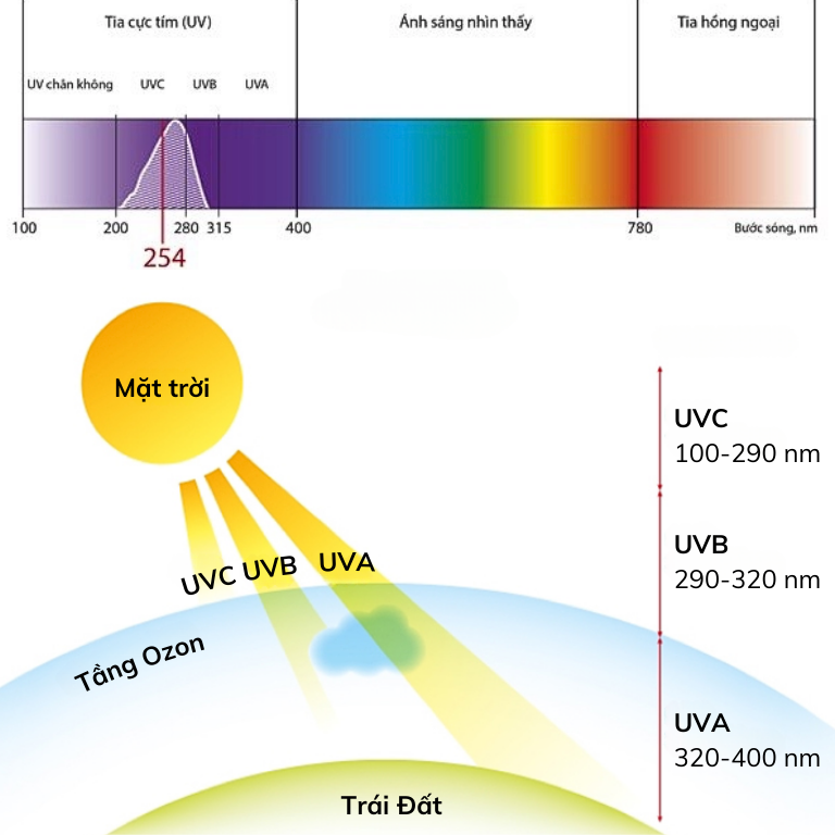 Bước sóng của các tia UV