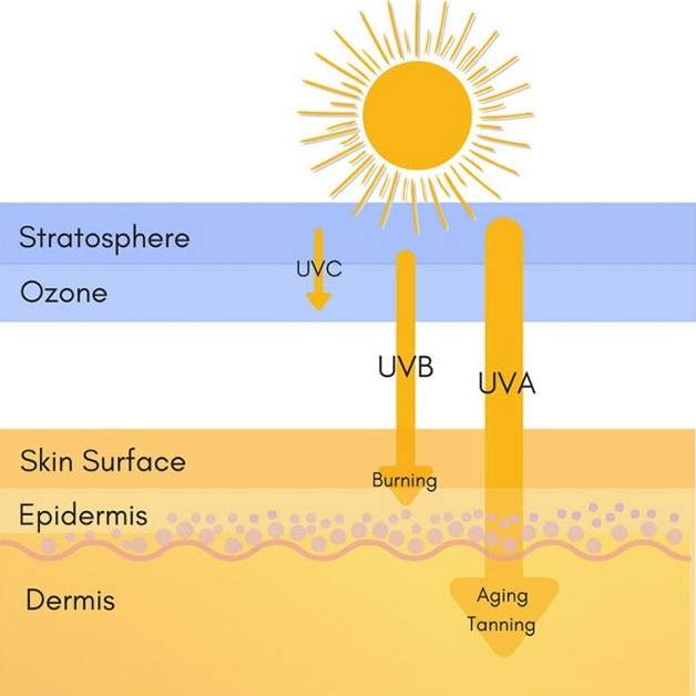 Ảnh hưởng của tia UV lên da